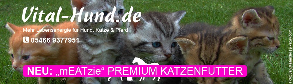 mEATzie - Das Premium Katzenfutter von Reico